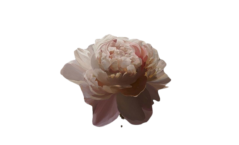 Download PNG image - Aesthetic Flower Art PNG Transparent Image 
