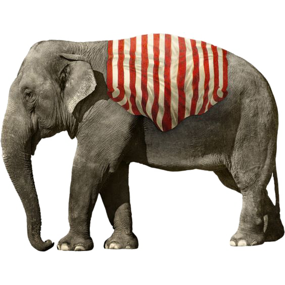 Download PNG image - African Elephant PNG Picture 