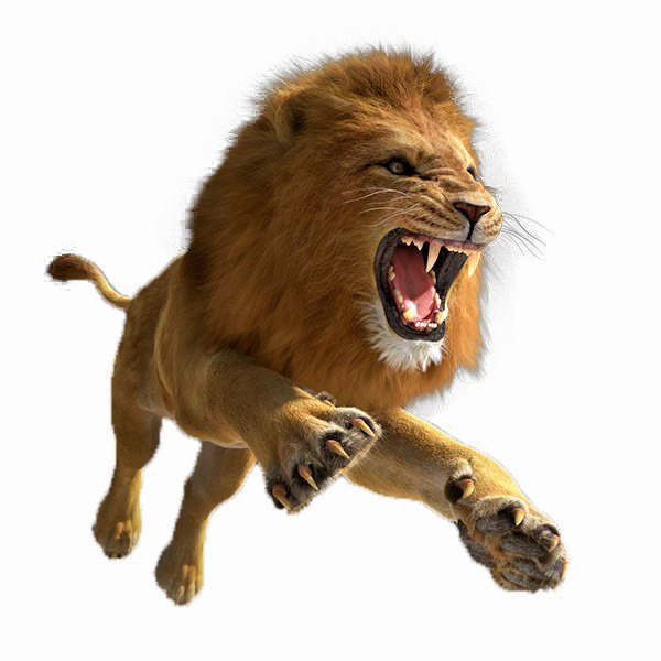 Download PNG image - African Lion PNG Image 