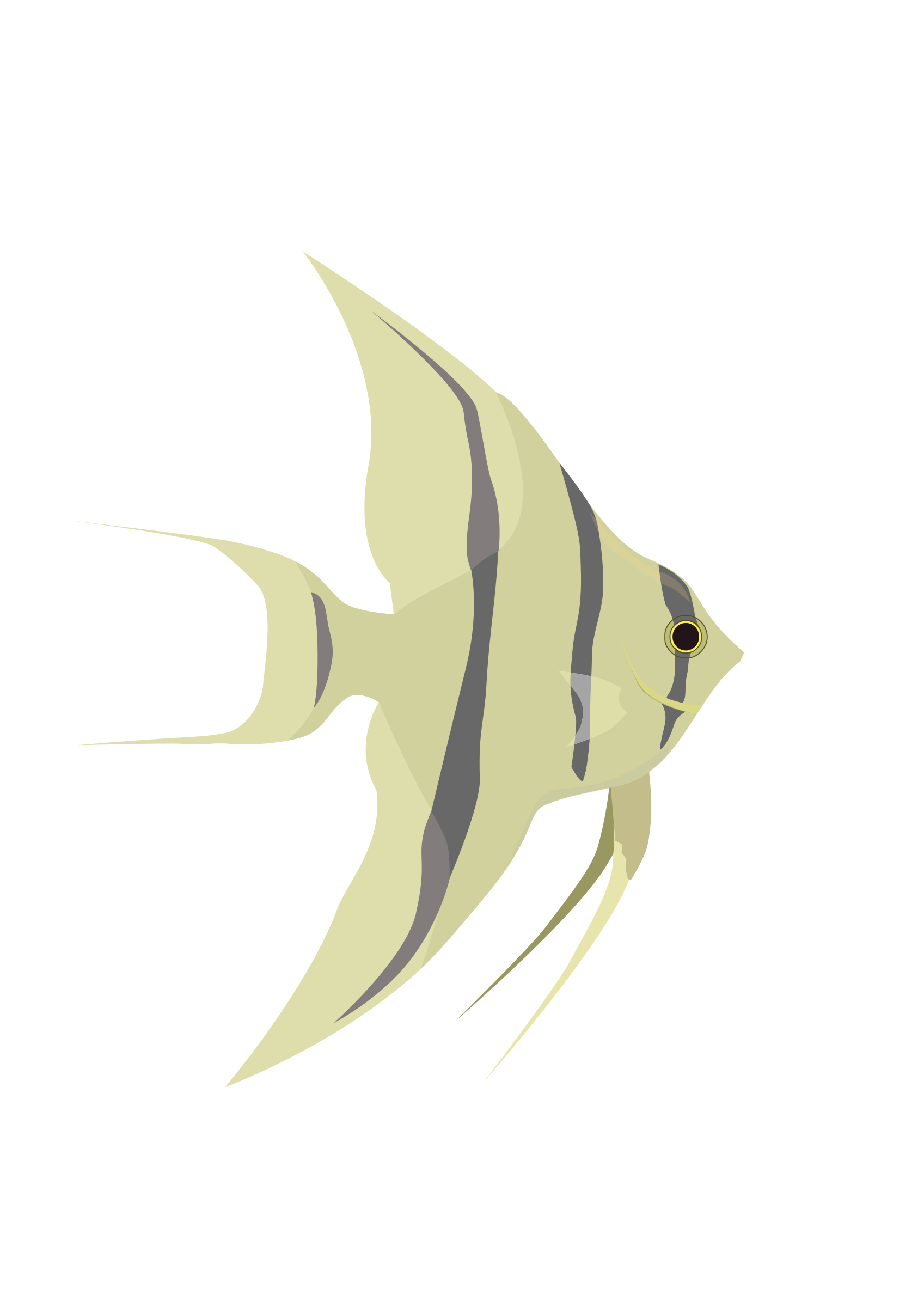 Download PNG image - Angelfish PNG Transparent Picture 