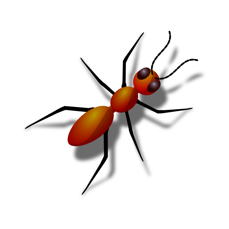 Download PNG image - Ant PNG File 