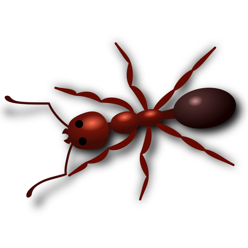 Download PNG image - Ant PNG HD 