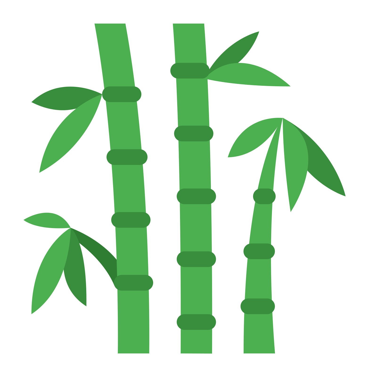 Download PNG image - Bamboo Leaf PNG Clipart 