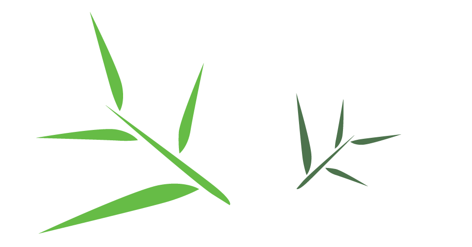 Download PNG image - Bamboo Leaf PNG Free Download 