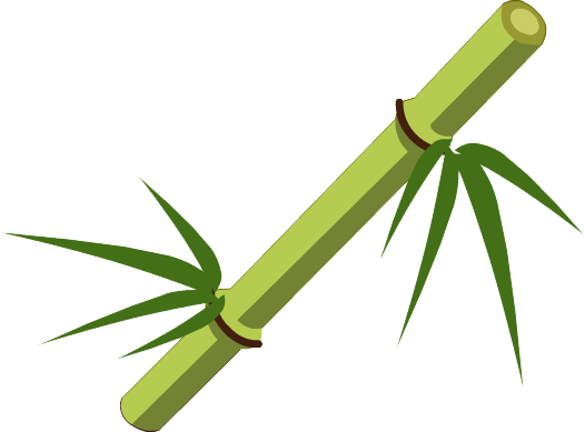 Download PNG image - Bamboo Stick PNG Transparent Image 