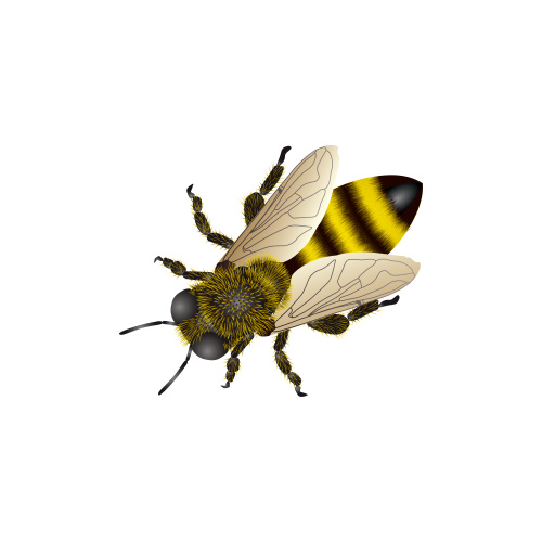 Download PNG image - Bee PNG Free Download 