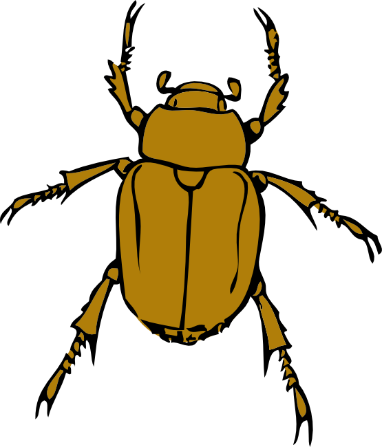 Download PNG image - Beetle Bug Clip Art PNG 