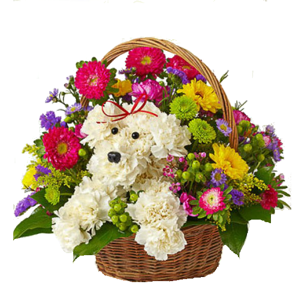 Download PNG image - Birthday Flowers Bouquet PNG Transparent Image 