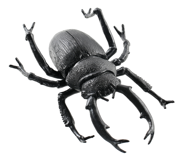Download PNG image - Black Beetle Transparent Images PNG 