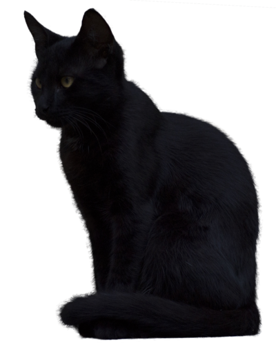 Download PNG image - Black Cat PNG Picture 
