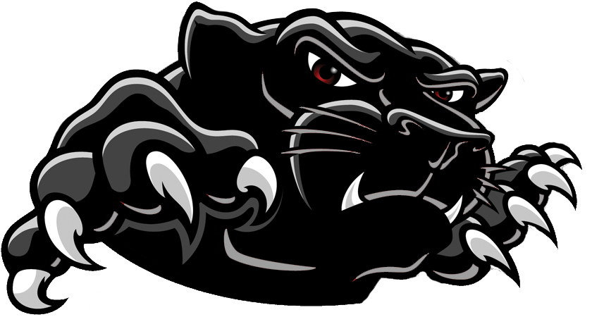 Download PNG image - Black Panther Logo Transparent Background 