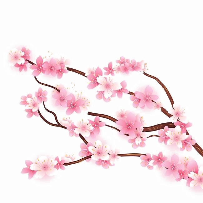 Download PNG image - Blossom PNG HD Quality 