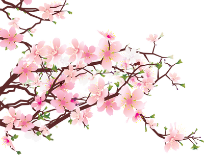Download PNG image - Blossom PNG Image HD 