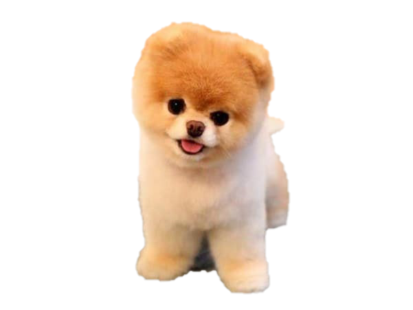 Download PNG image - Boo PNG Transparent Picture 