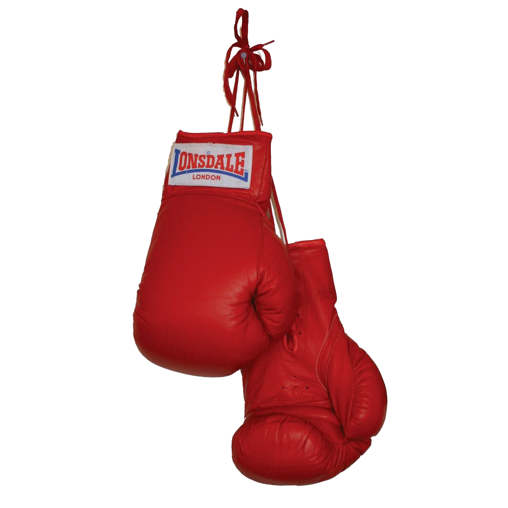Download PNG image - Boxing Gloves PNG Clipart 