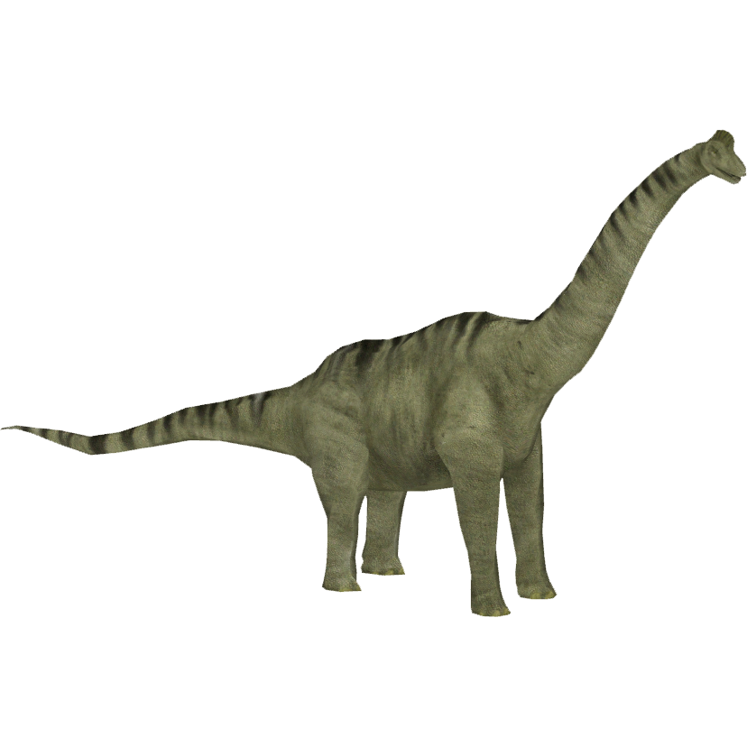 Download PNG image - Brachiosaurus PNG Clipart 