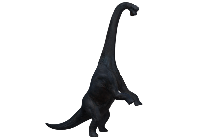 Download PNG image - Brachiosaurus PNG HD 