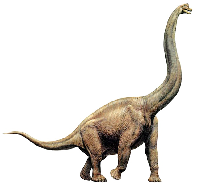 Download PNG image - Brachiosaurus PNG Image 