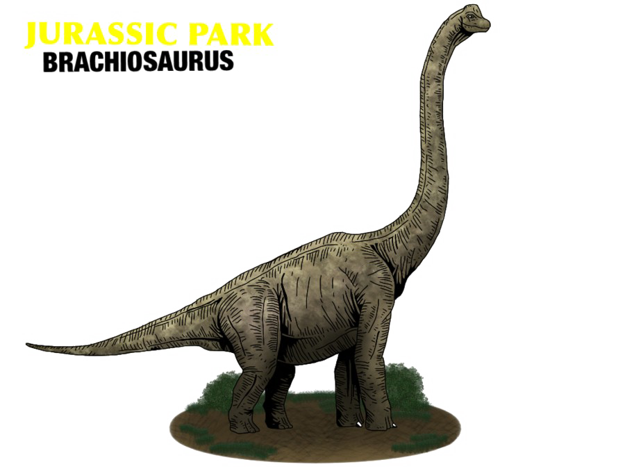 Download PNG image - Brachiosaurus PNG Photo 