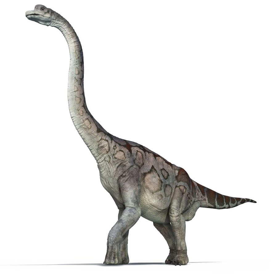 Download PNG image - Brachiosaurus PNG Pic 