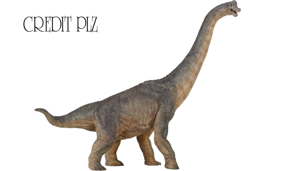 Download PNG image - Brachiosaurus PNG Transparent Image 