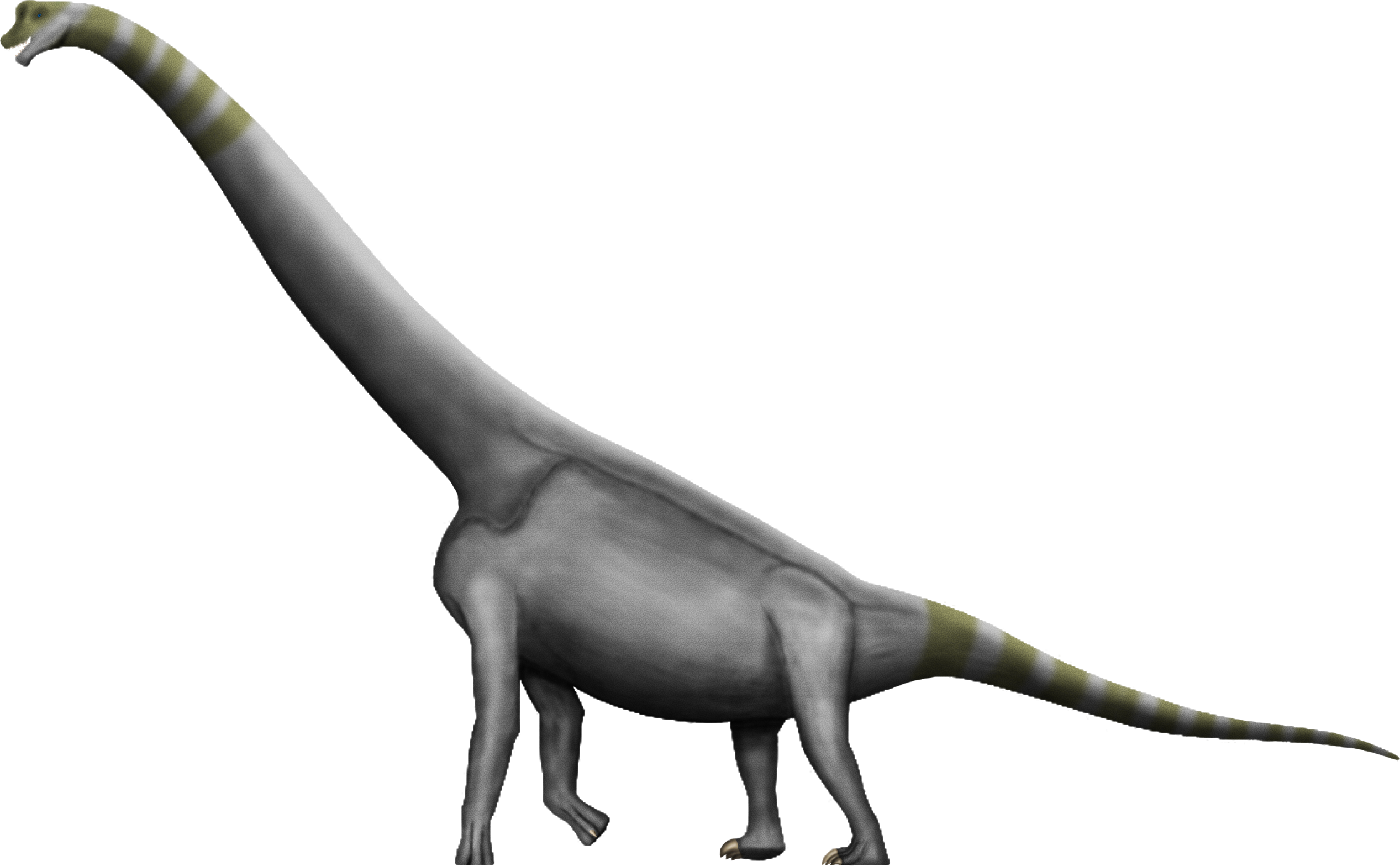 Download PNG image - Brachiosaurus Transparent PNG 