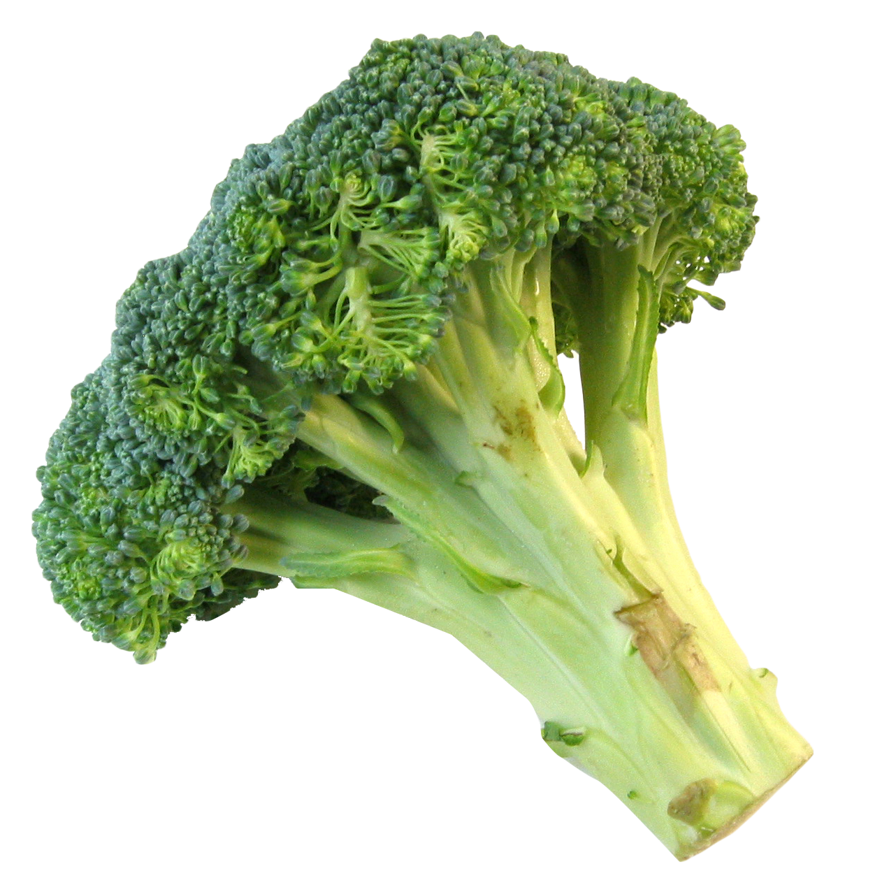 Download PNG image - Broccoli PNG Background 