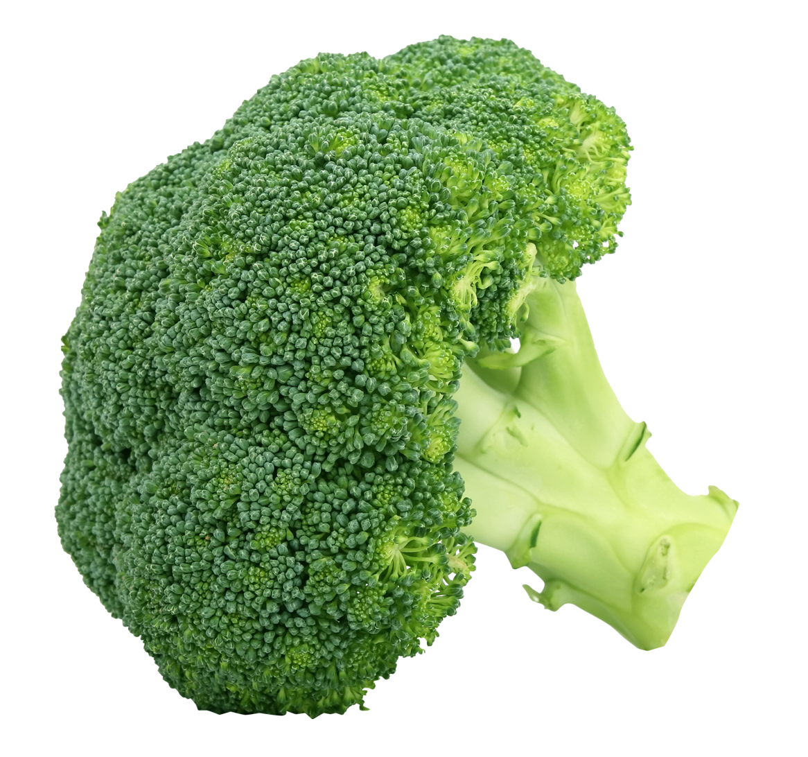 Download PNG image - Broccoli PNG Clipart 
