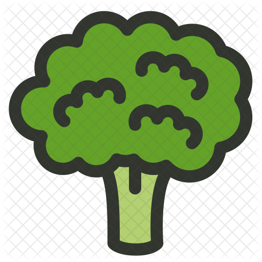Download PNG image - Broccoli PNG Download Image 