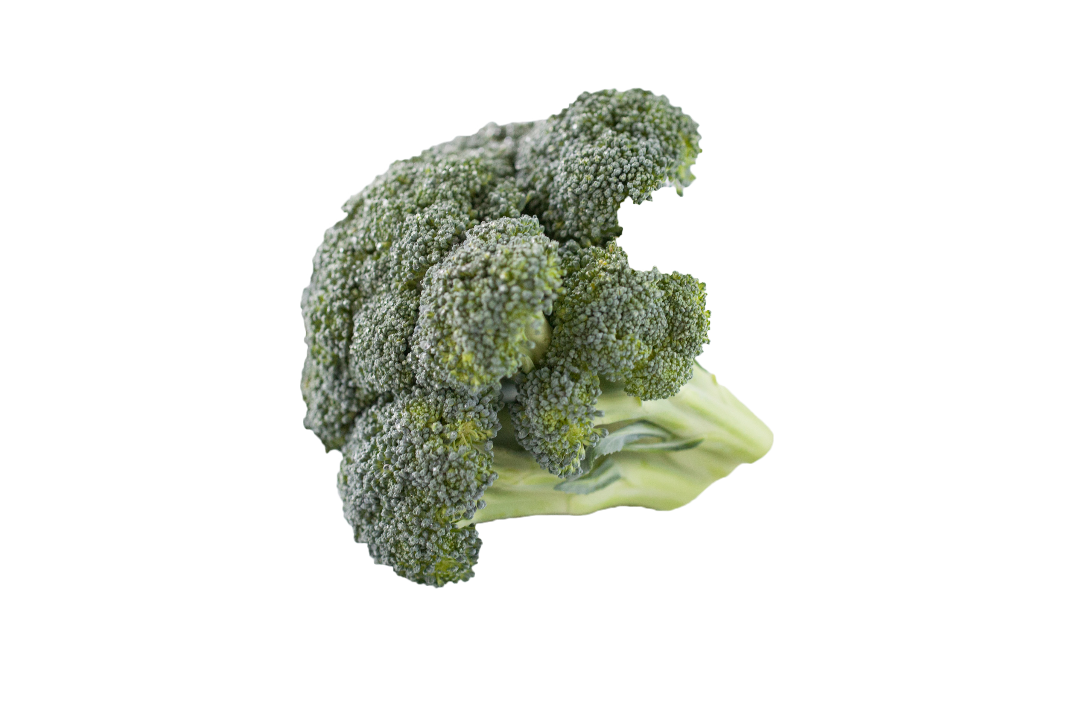 Download PNG image - Broccoli PNG File Download Free 