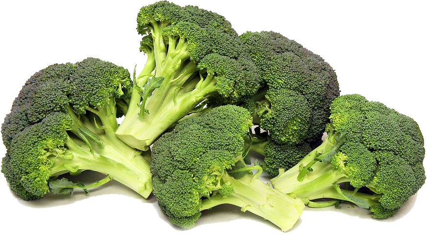 Download PNG image - Broccoli PNG Photos 