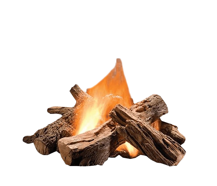 Download PNG image - Burning Firewood Transparent PNG 