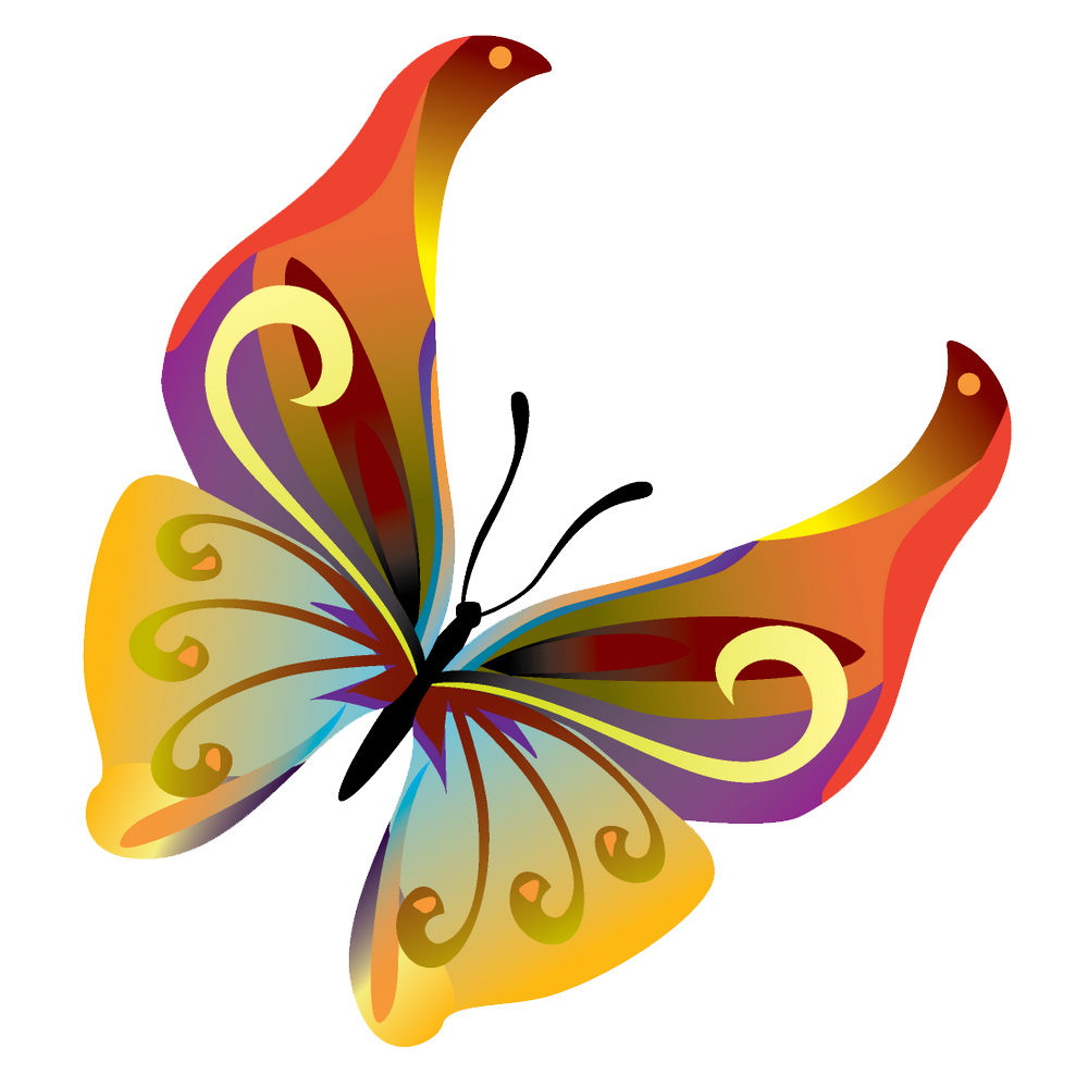 Download PNG image - Butterflies Vector PNG Transparent Image 