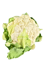 Download PNG image - Cauliflower PNG File 