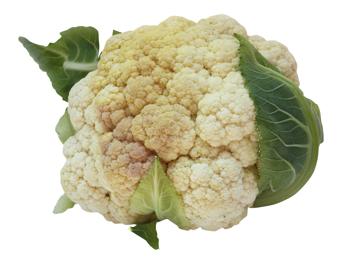 Download PNG image - Cauliflower PNG Image 