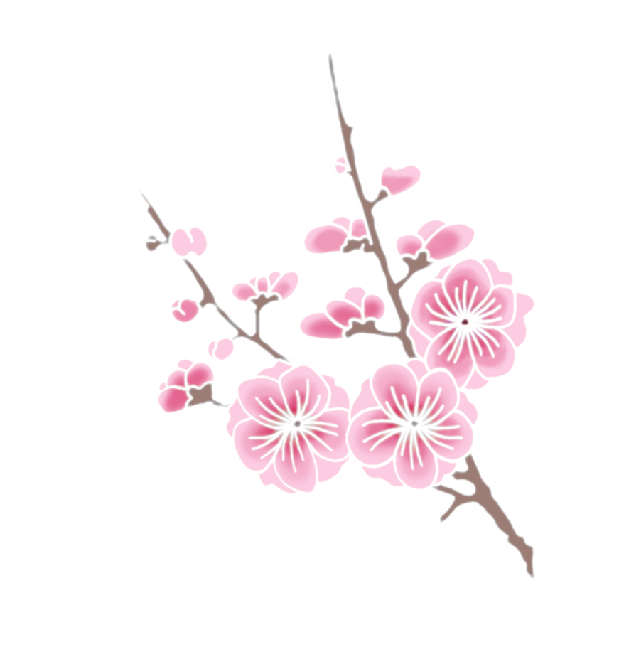 Download PNG image - Cherry Blossom PNG Clipart 