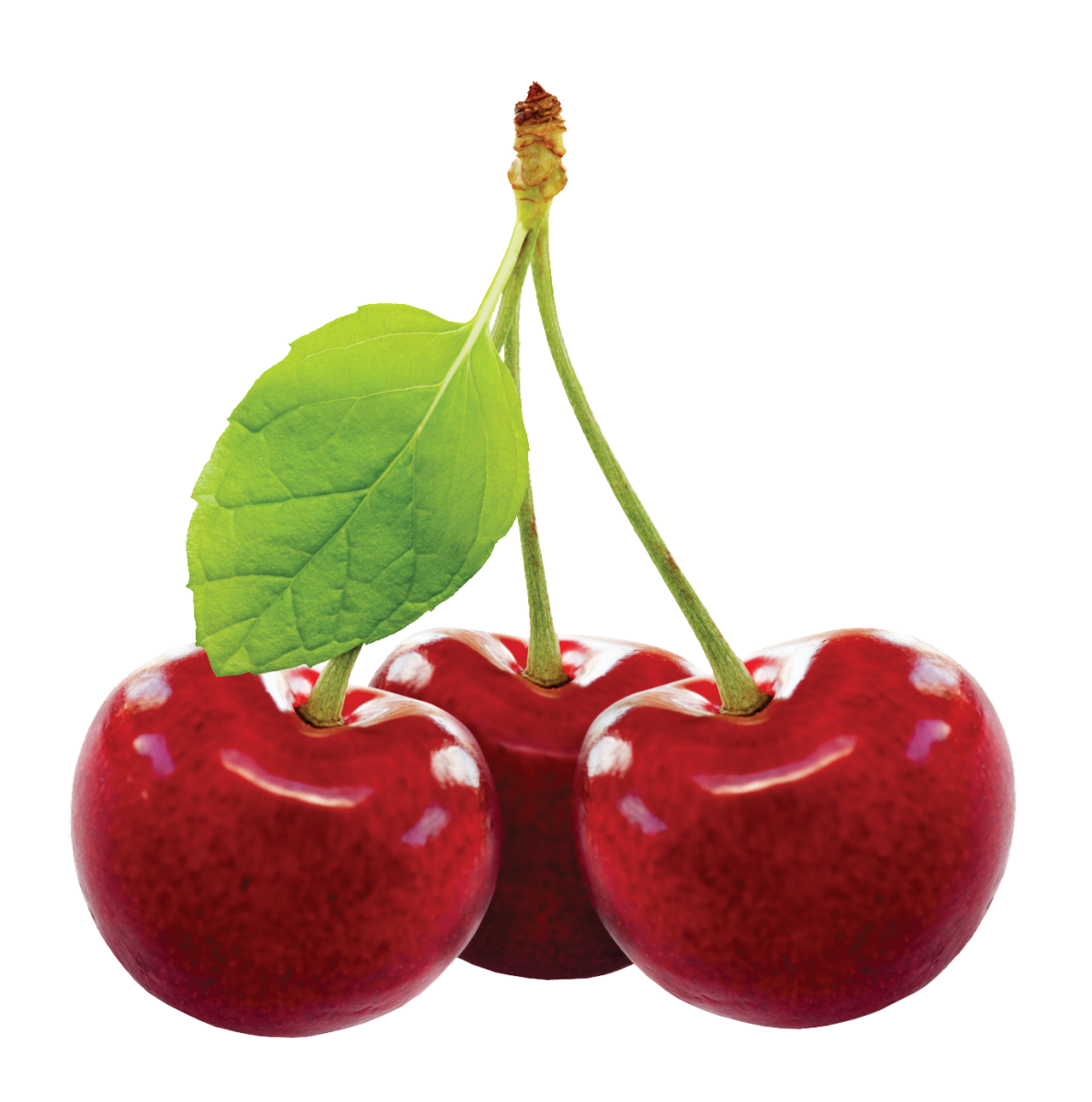 Download PNG image - Cherry Fruit PNG Image 