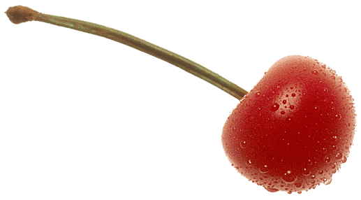 Download PNG image - Cherry Fruit Transparent Background 