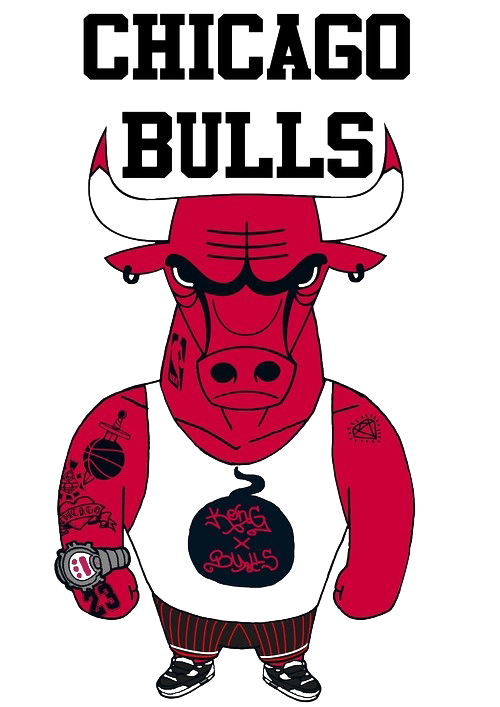 Download PNG image - Chicago Bulls PNG File 