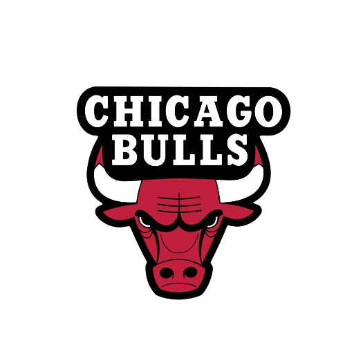 Download PNG image - Chicago Bulls PNG Transparent Image 