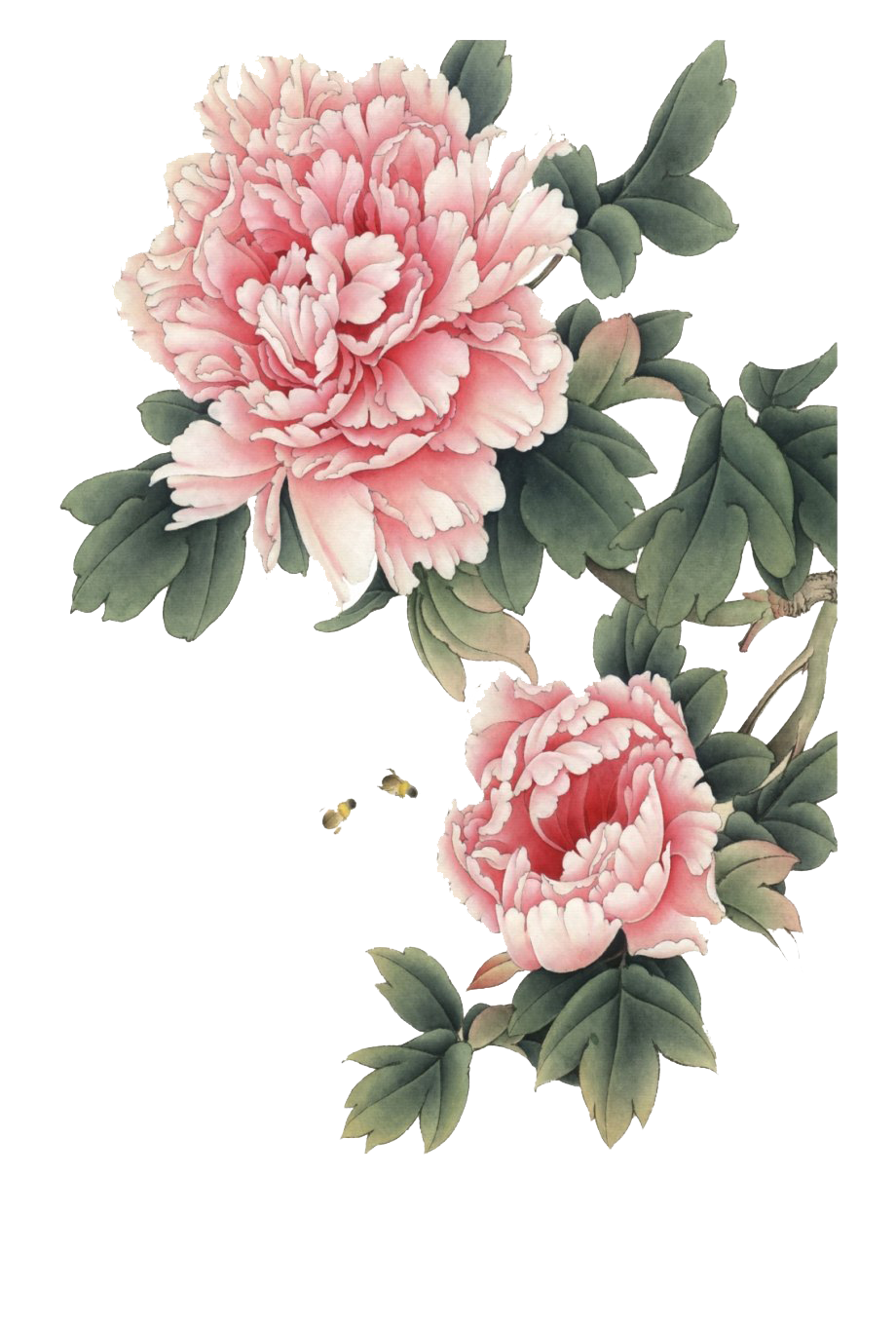 Chinese Flower Transparent Background