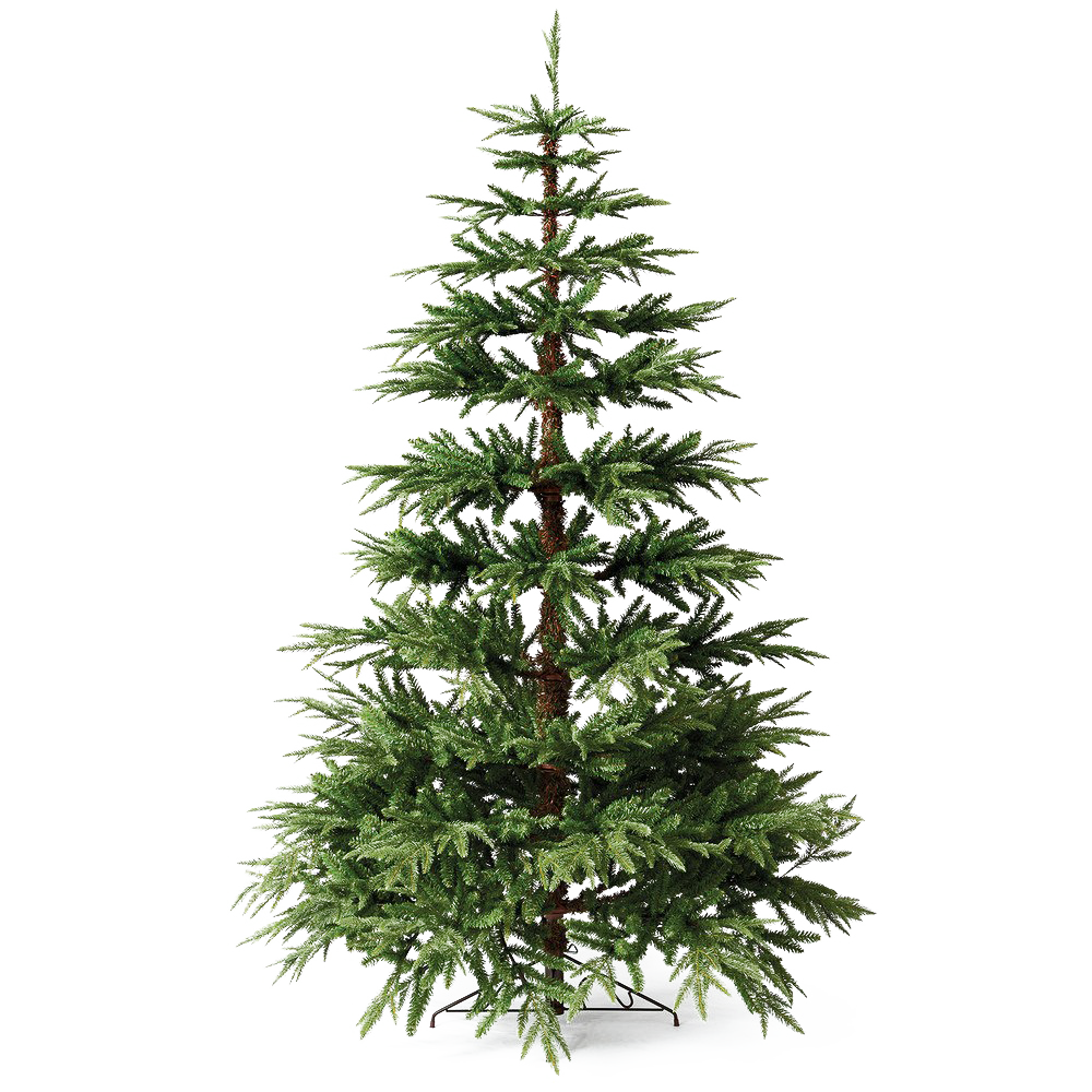 Download PNG image - Christmas Pine Tree PNG File 