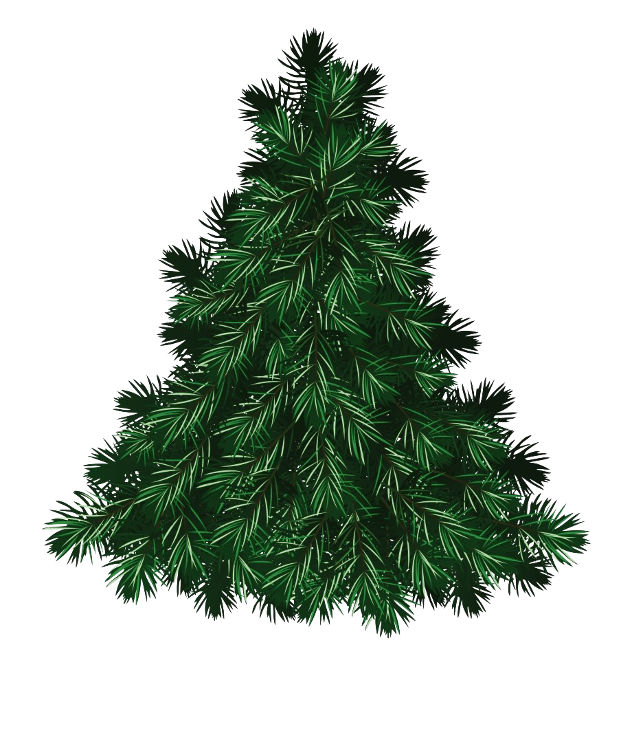 Download PNG image - Christmas Pine Tree PNG Free Download 
