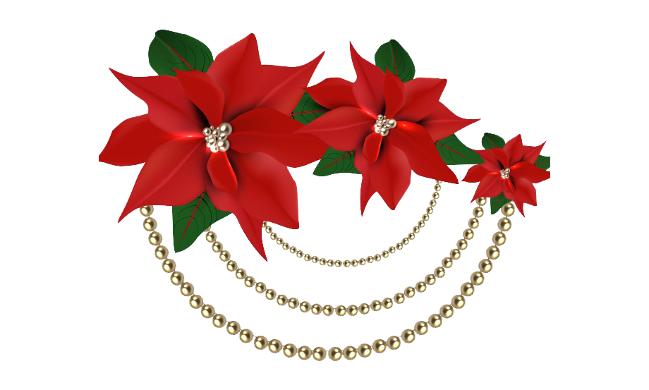 Download PNG image - Christmas Poinsettia PNG File 