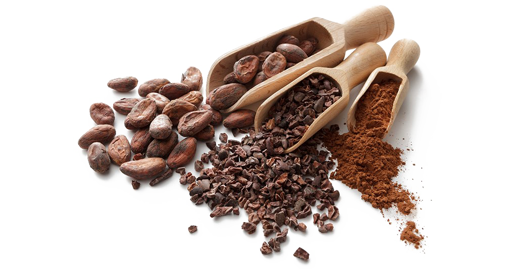Download PNG image - Cocoa Beans PNG HD 