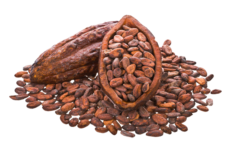 Download PNG image - Cocoa Beans PNG Image 