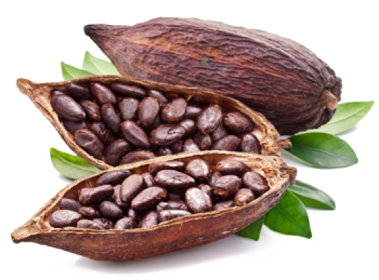 Download PNG image - Cocoa Beans PNG Pic 