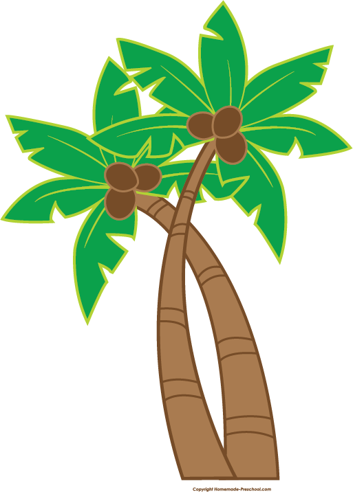 Download PNG image - Coconut Tree Hawaiian Luau PNG Image 