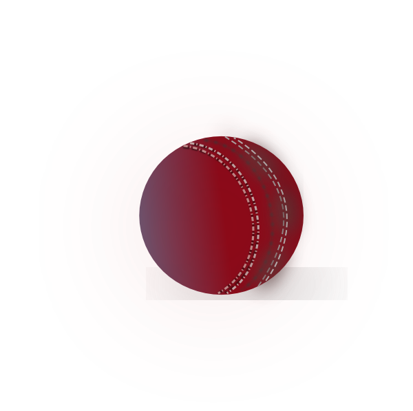 Download PNG image - Cricket PNG Pic 