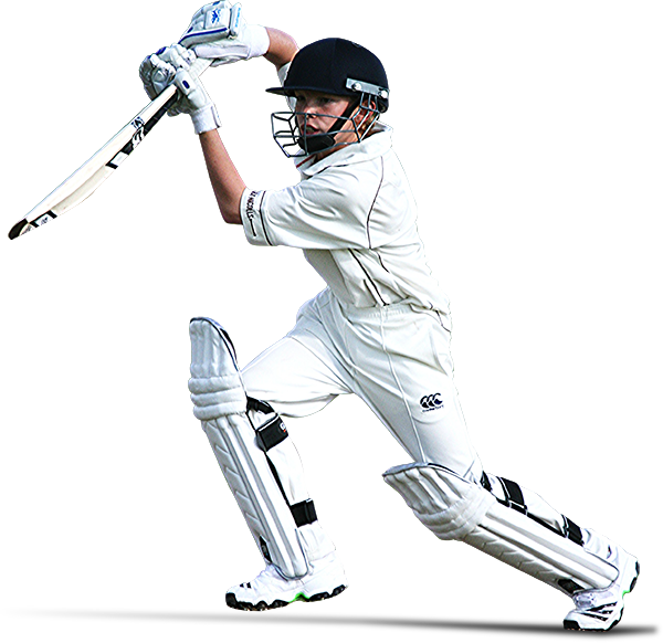 Download PNG image - Cricket Transparent Images PNG 